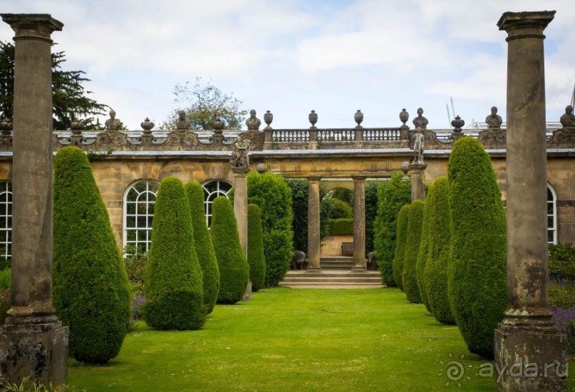 Альбом отзыва "CHATSWORTH HOUSE - ТЕМ, КТО ЛЮБИТ ГЕОМЕТРИЮ"