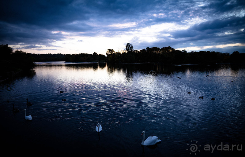 Альбом отзыва "BATH IN OCTOBER"