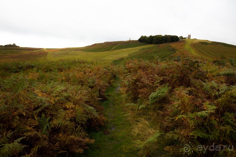 Альбом отзыва "BRADGATE PARK В ОКТЯБРЕ и ОСЕНЬ В ГОРОДЕ"