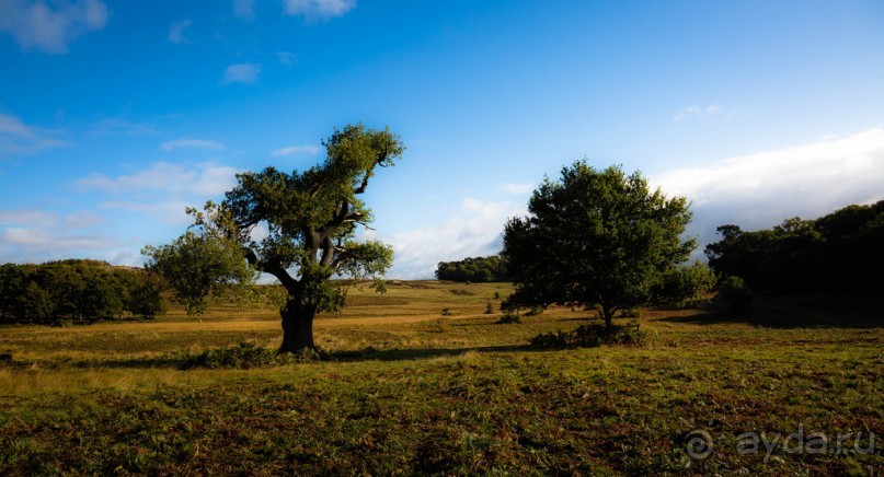 Альбом отзыва "BRADGATE PARK В ОКТЯБРЕ и ОСЕНЬ В ГОРОДЕ"