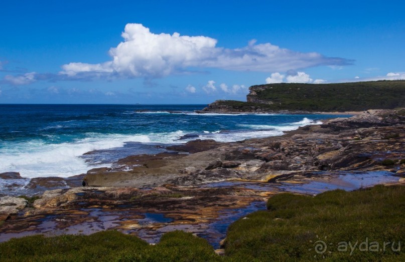 Альбом отзыва "ROYAL NATIONAL PARK, ПРОГУЛКА 10 КМ ОТ BANDEENA ДО WATTAMOLLA"