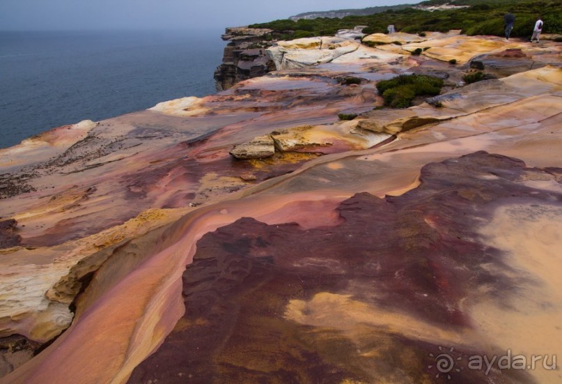 Альбом отзыва "ROYAL NATIONAL PARK, ПРОГУЛКА 10 КМ ОТ BANDEENA ДО WATTAMOLLA"