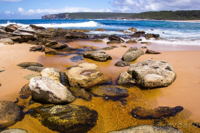 Альбом отзыва "ROYAL NATIONAL PARK, ПРОГУЛКА 10 КМ ОТ BANDEENA ДО WATTAMOLLA"