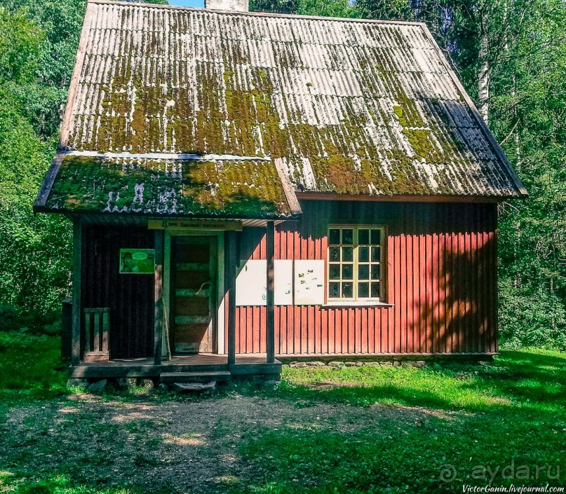 Альбом отзыва "Пешком через всю Эстонию. Походная тропа Оанду – Икла. Часть 2."