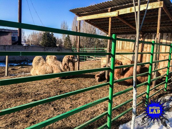 Альбом отзыва "Необычный Фрирайд и Бэккантри в Киргизии. Часть 03: Достопримечательности и природа Каракола"