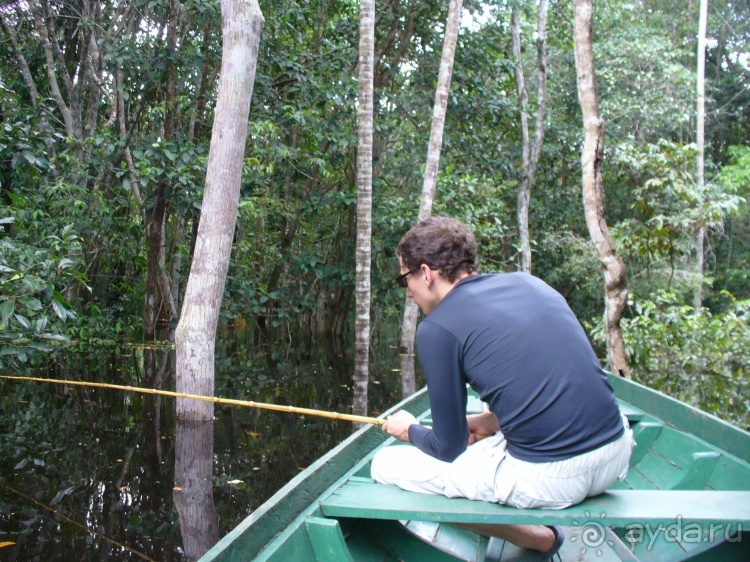 Альбом отзыва "Бразилия по-простому. 9. Амазония и её джунгли"