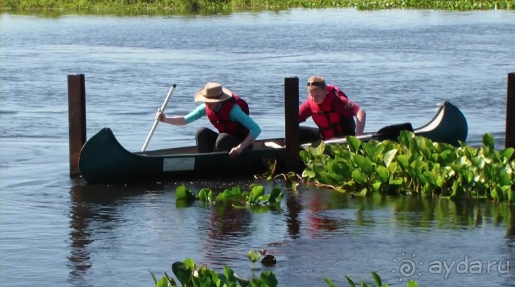 Альбом отзыва "Живая Бразилия.2/2.Штат Mato Grosso do Sul. Pantanal"