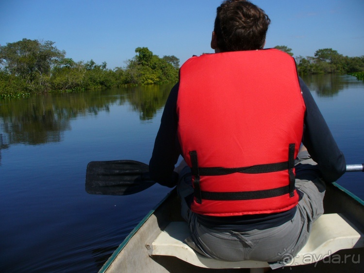 Альбом отзыва "Живая Бразилия.2/2.Штат Mato Grosso do Sul. Pantanal"