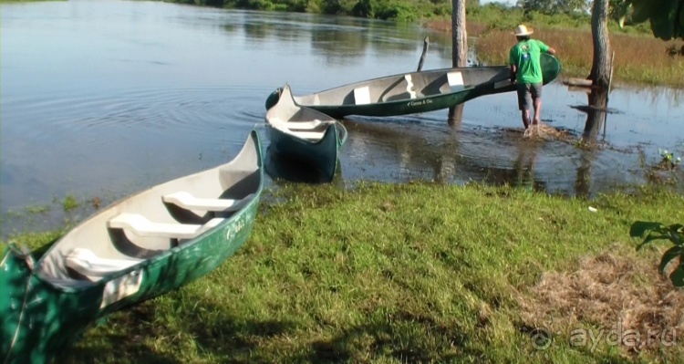 Альбом отзыва "Живая Бразилия.2/2.Штат Mato Grosso do Sul. Pantanal"