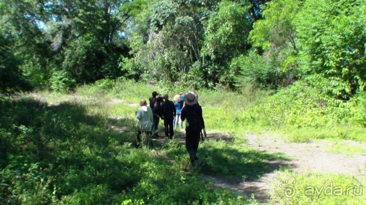 Альбом отзыва "Живая Бразилия.2/2.Штат Mato Grosso do Sul. Pantanal"