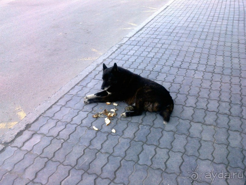 Альбом отзыва "Мой летний отдых в Хибинах."