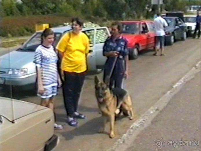 Альбом отзыва "Впервые на машине в Германию с овчаркой: Белоруссия и Варшавский мост"