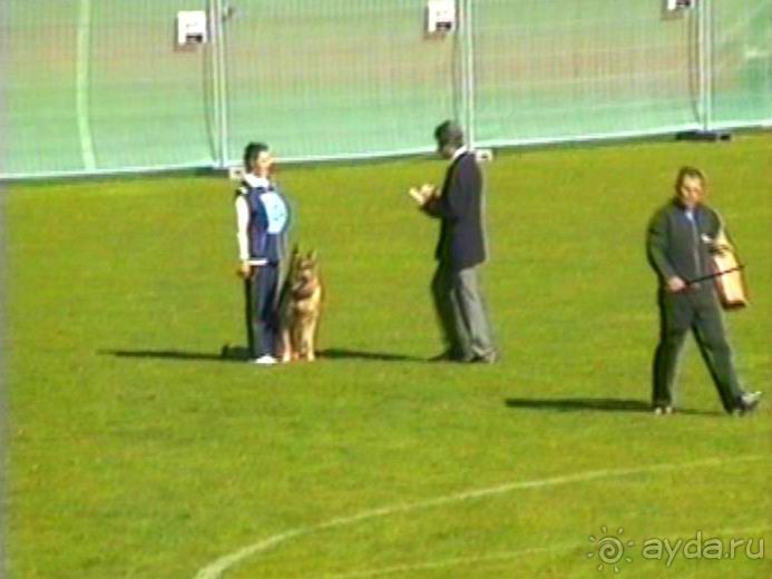 Альбом отзыва "Первый день Зигера в Ульме. Поверка поведения."