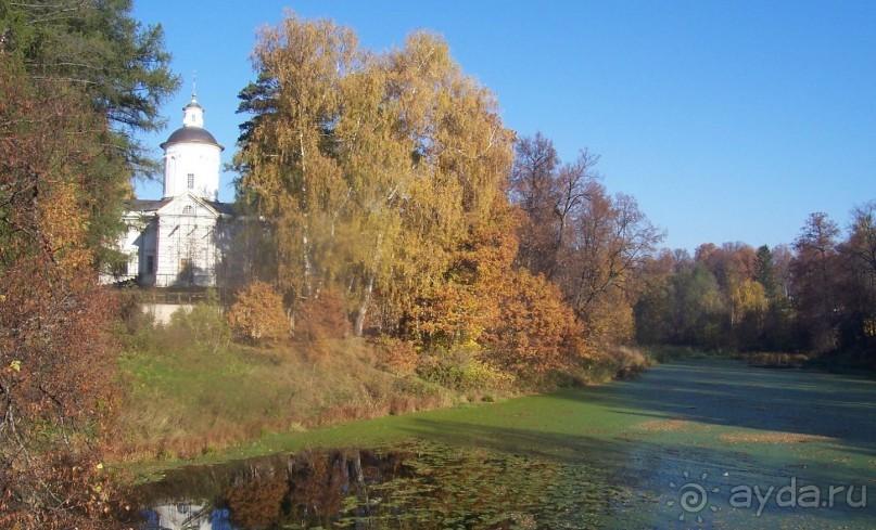 Альбом отзыва 