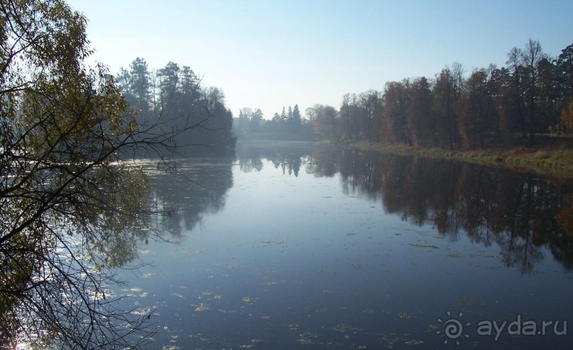 Альбом отзыва 