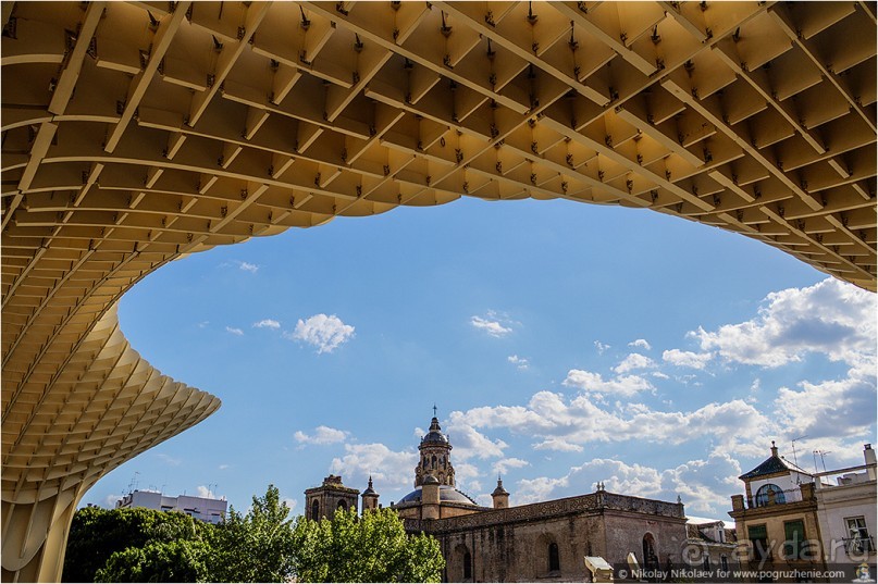 Альбом отзыва "По грибам в Севилье (Seville, Spain)"