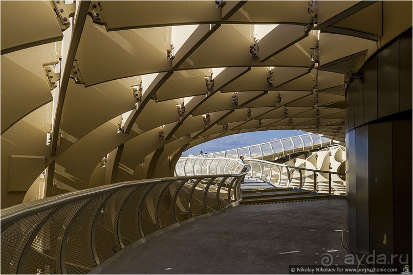 Альбом отзыва "По грибам в Севилье (Seville, Spain)"