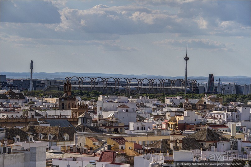 Альбом отзыва "По грибам в Севилье (Seville, Spain)"