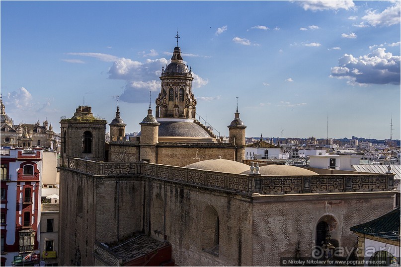 Альбом отзыва "По грибам в Севилье (Seville, Spain)"