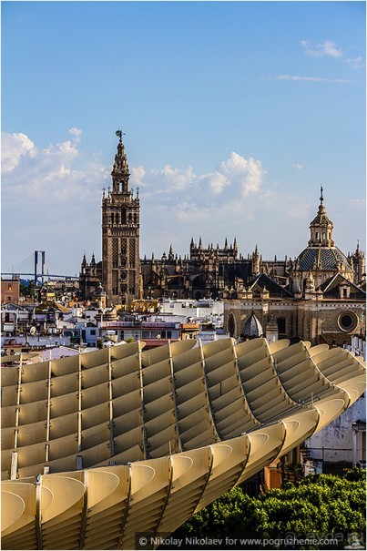 Альбом отзыва "По грибам в Севилье (Seville, Spain)"