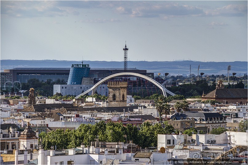 Альбом отзыва "По грибам в Севилье (Seville, Spain)"