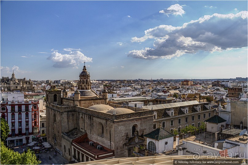 Альбом отзыва "По грибам в Севилье (Seville, Spain)"