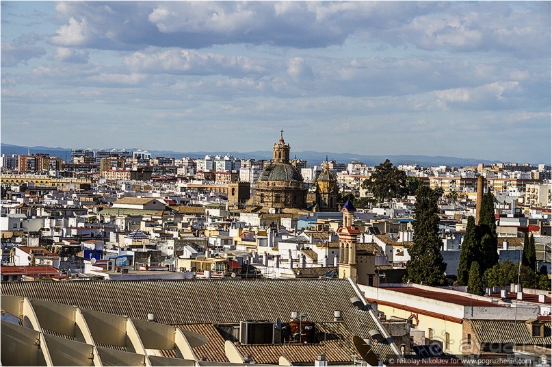 Альбом отзыва "По грибам в Севилье (Seville, Spain)"