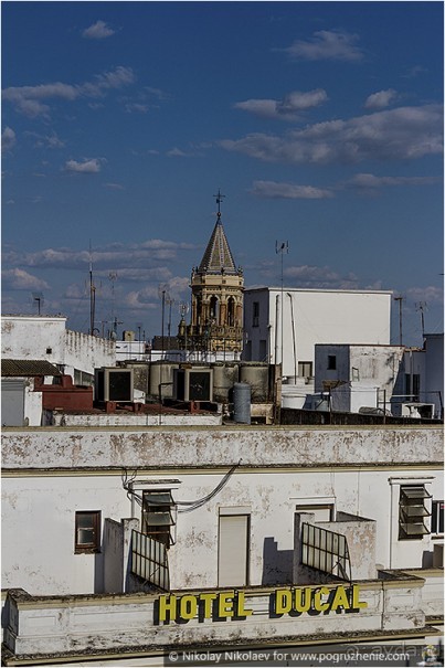 Альбом отзыва "По грибам в Севилье (Seville, Spain)"