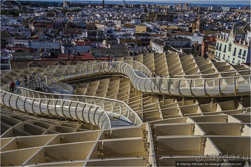 Альбом отзыва "По грибам в Севилье (Seville, Spain)"