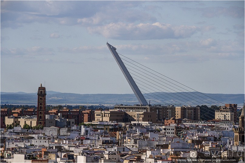 Альбом отзыва "По грибам в Севилье (Seville, Spain)"