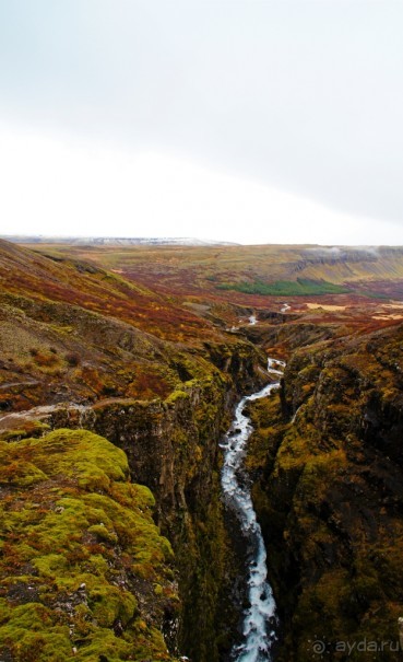 Альбом отзыва "«Открытие Исландии» часть 14: Самый высокий водопад (Glymur, Iceland)"