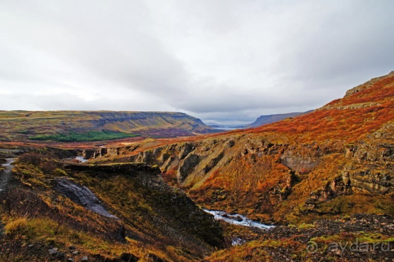 Альбом отзыва "«Открытие Исландии» часть 14: Самый высокий водопад (Glymur, Iceland)"