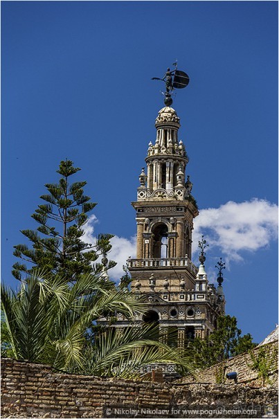 Альбом отзыва "Южная соблазнительница Севилья (Seville, Spain)"