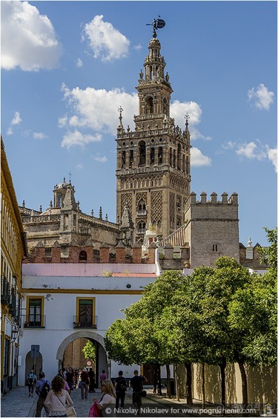 Альбом отзыва "Южная соблазнительница Севилья (Seville, Spain)"