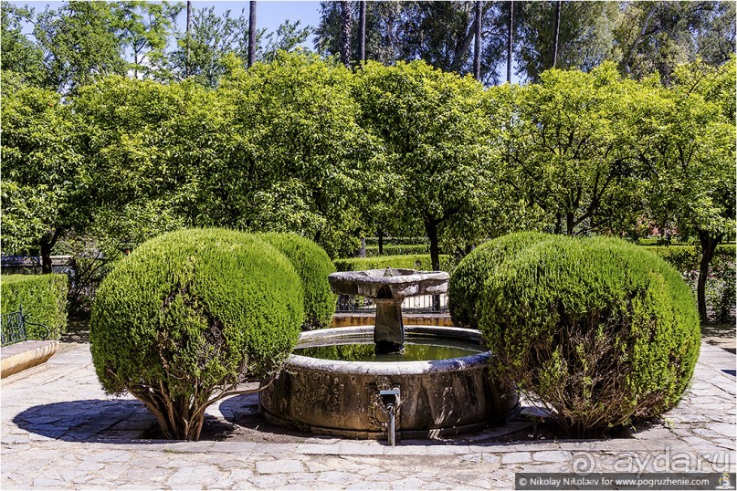 Альбом отзыва "Южная соблазнительница Севилья (Seville, Spain)"