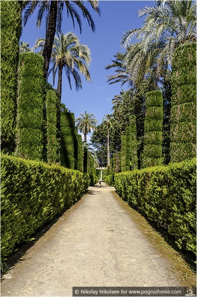 Альбом отзыва "Южная соблазнительница Севилья (Seville, Spain)"