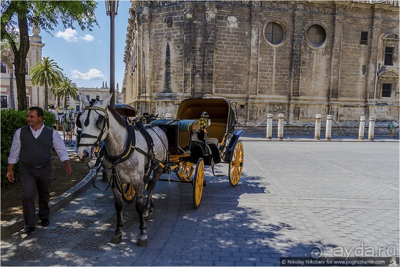 Альбом отзыва "Южная соблазнительница Севилья (Seville, Spain)"