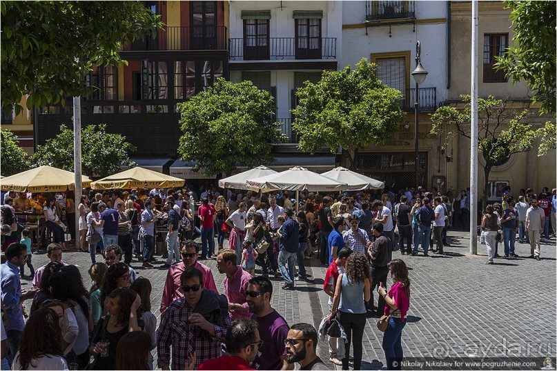 Альбом отзыва "Южная соблазнительница Севилья (Seville, Spain)"