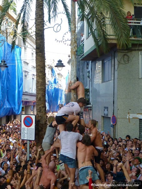 Альбом отзыва "Ла Томатина: не помылишь — не залезешь! (Bunol, Spain)"