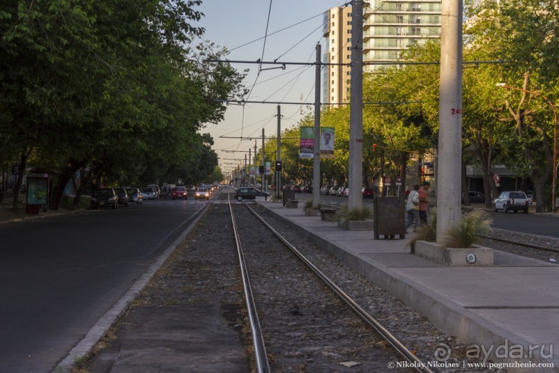 Альбом отзыва "Мендоса — город-оазис (Mendoza, Argentina)"