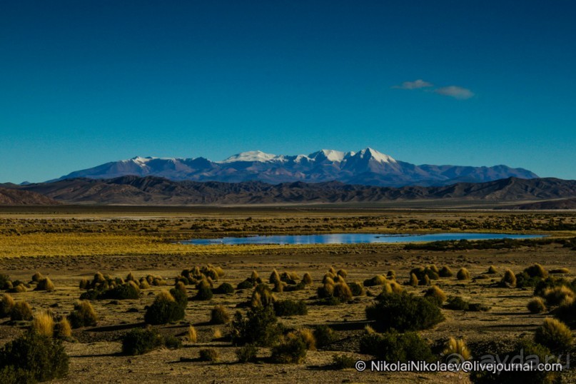 Альбом отзыва "Покорение Америки. Часть 10. День 9: Планета Боливия (Near Tupiza, Bolivia)"