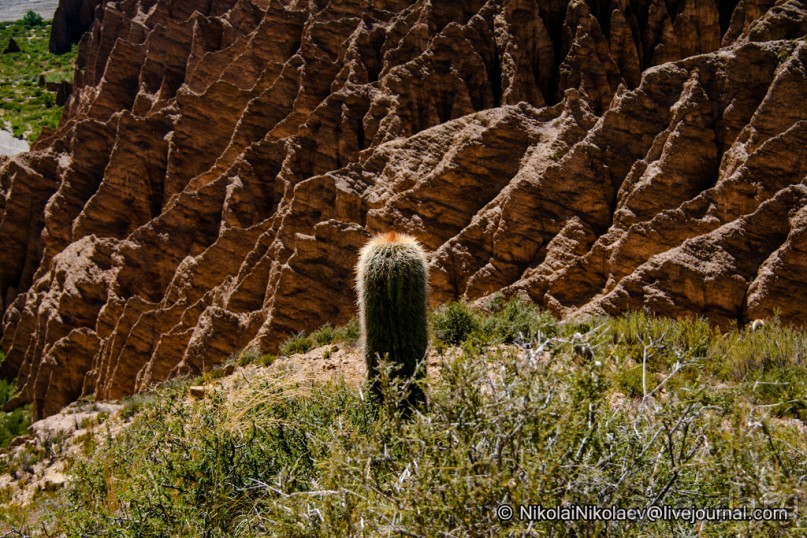 Альбом отзыва "Покорение Америки. Часть 10. День 9: Планета Боливия (Near Tupiza, Bolivia)"