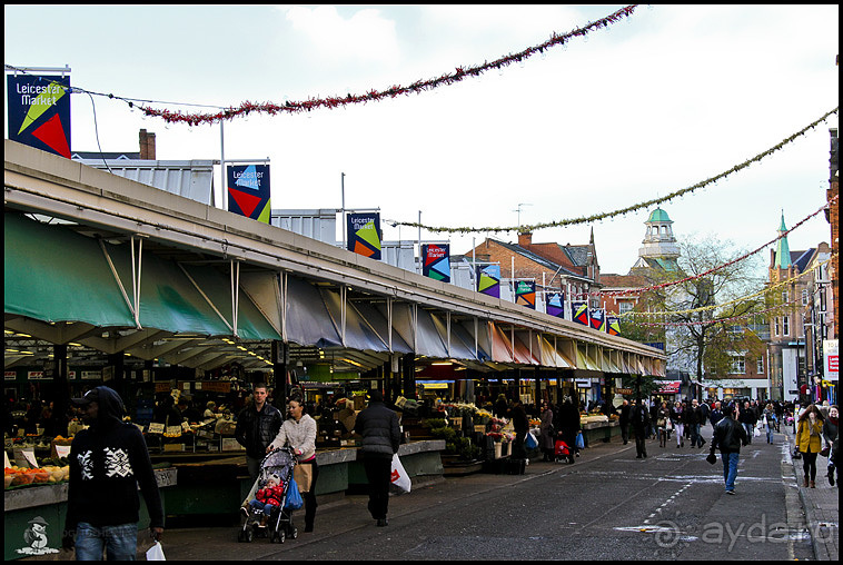 Альбом отзыва "Осенний Лестер (Leicester, England)"