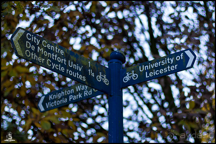 Альбом отзыва "Осенний Лестер (Leicester, England)"