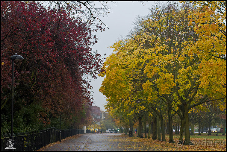 Альбом отзыва "Осенний Лестер (Leicester, England)"