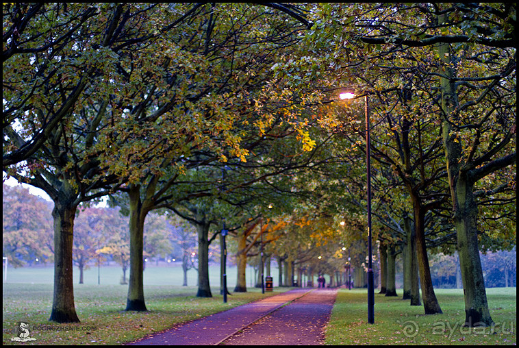 Альбом отзыва "Осенний Лестер (Leicester, England)"