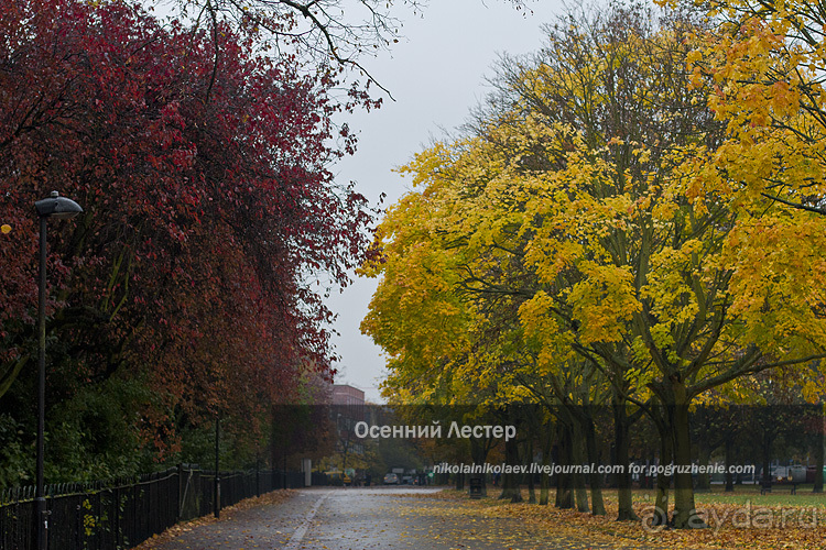 Альбом отзыва "Осенний Лестер (Leicester, England)"