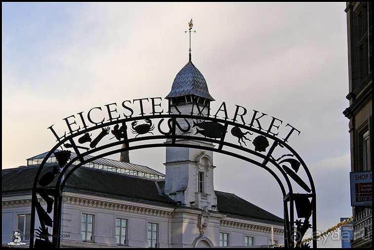 Альбом отзыва "Осенний Лестер (Leicester, England)"