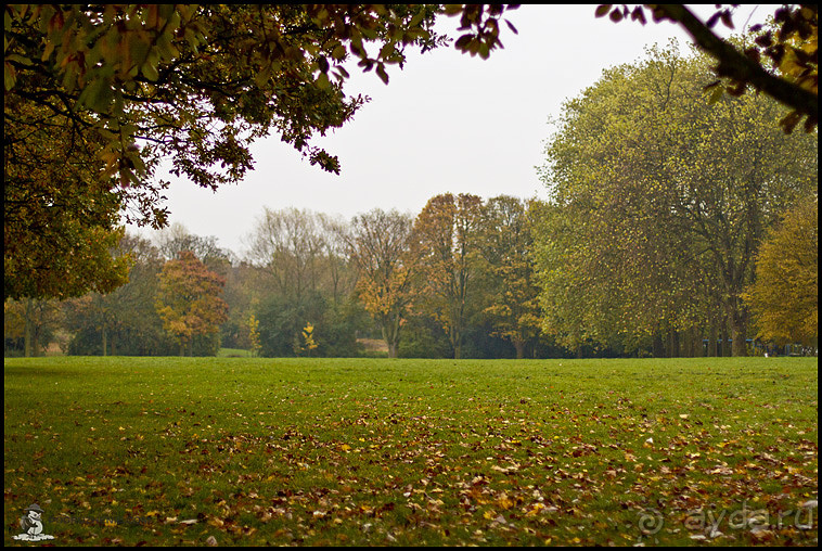 Альбом отзыва "Осенний Лестер (Leicester, England)"