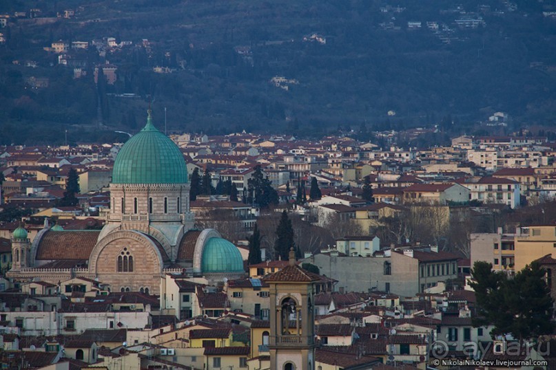 Альбом отзыва "Флоренция: красотища, желудок и гопник (Florence, Italy)"